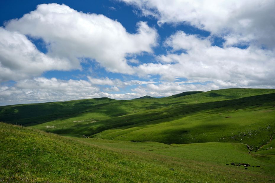 Heavenly Places