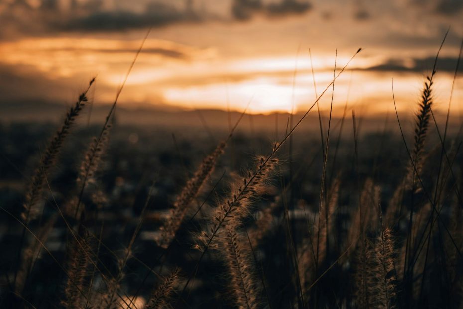 God Entrusts His Word to Man
