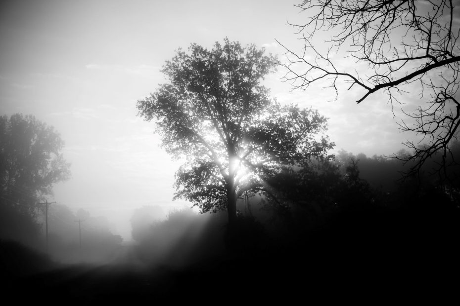 Authority and Obedience