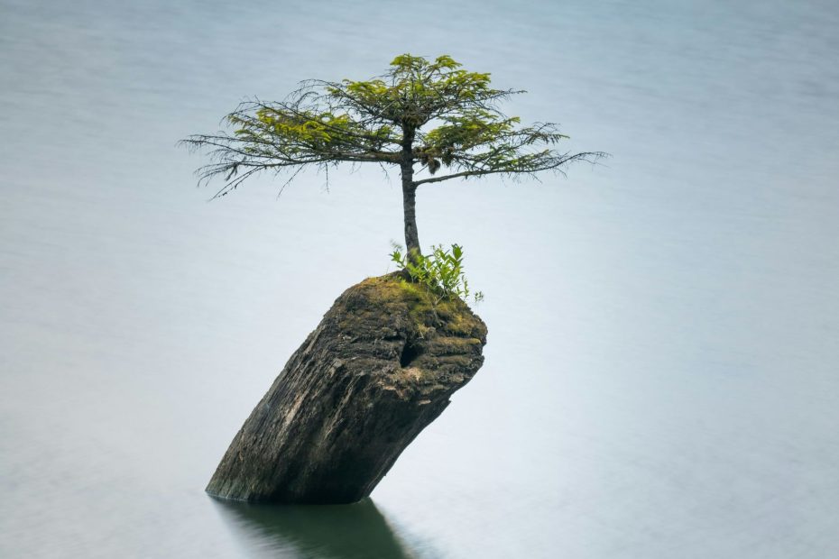 Giving Life