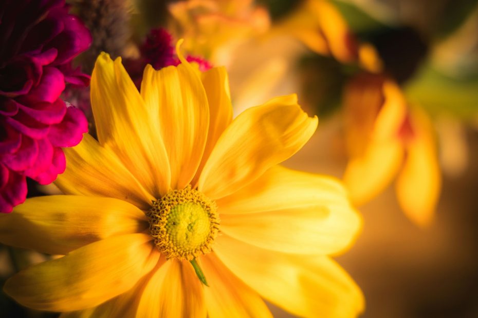 Serve in Newness of Spirit