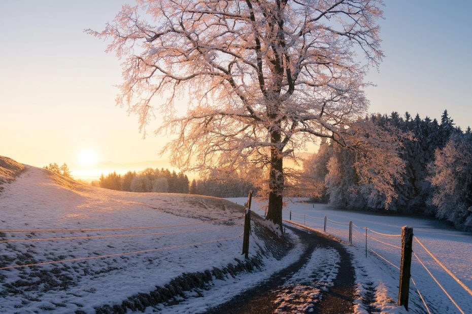 As Your Righteousness