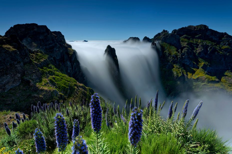 Goodness and Faithfulness