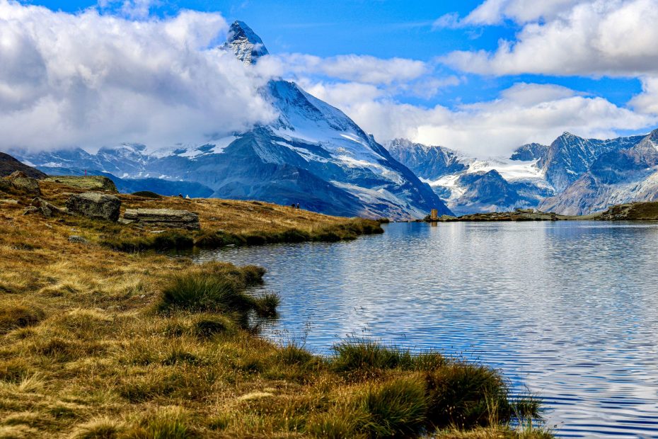 We Are They Servants