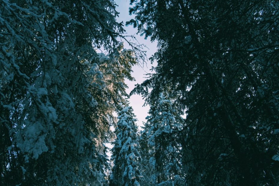 In God the Father's Hand