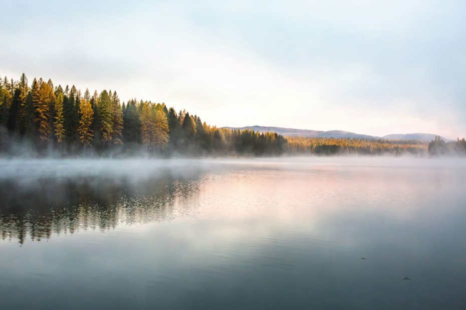 Will of God Made Manifest