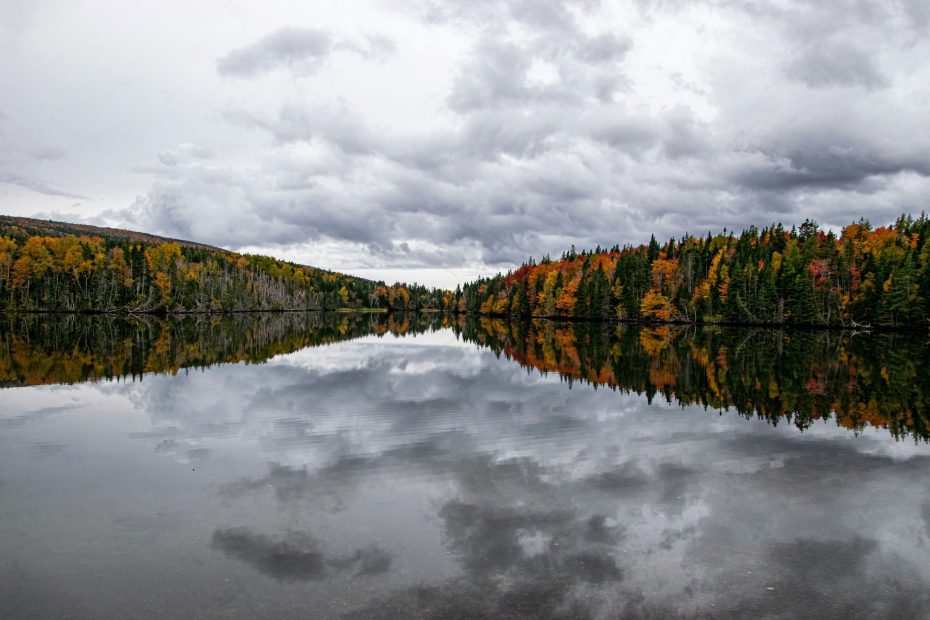 Submit to the Spirit's Control