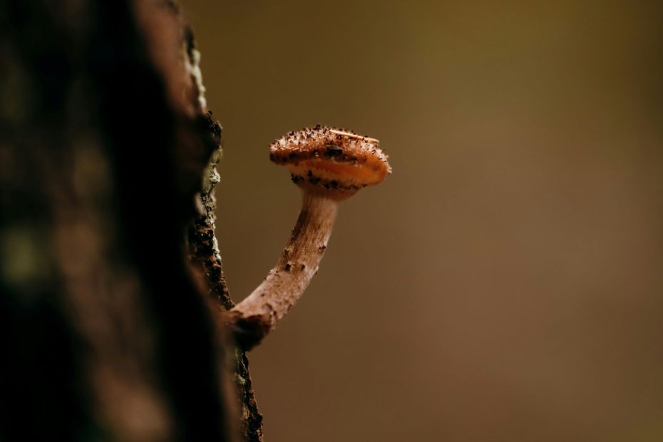 According To His Riches