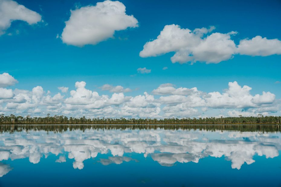 Full Sway in Our Life