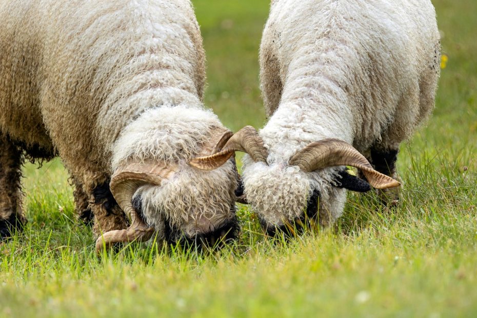 Separated Unto The Holy Spirit