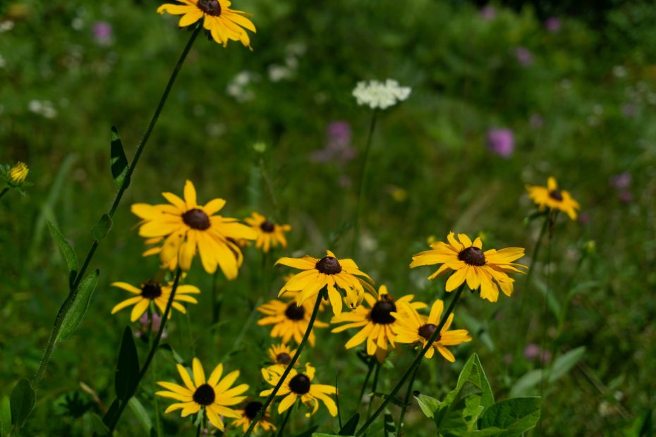 Cancel Our Self-Sufficiency