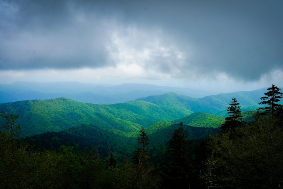 Watchful and On Guard