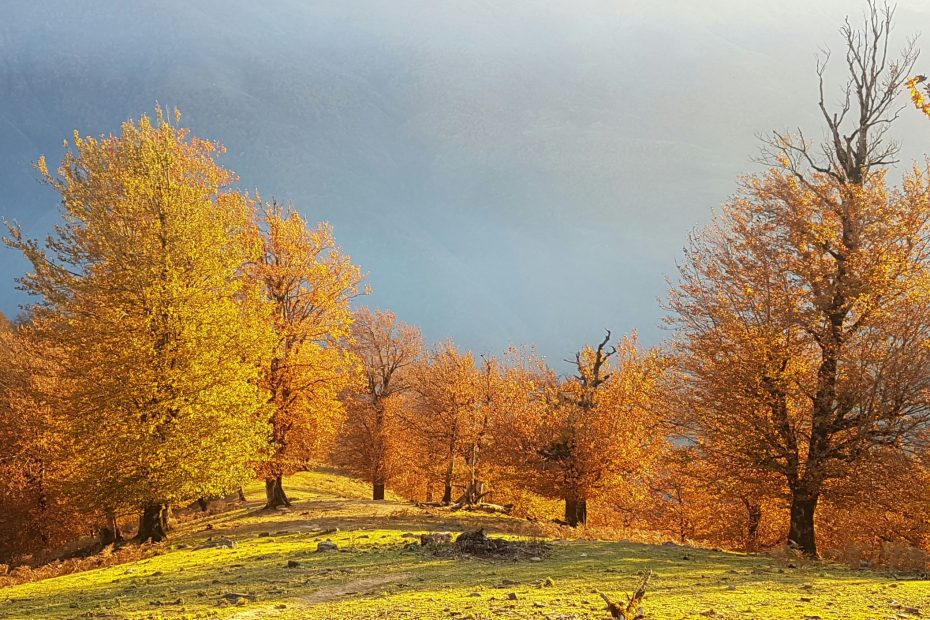 Constant Fellowship with the Lord