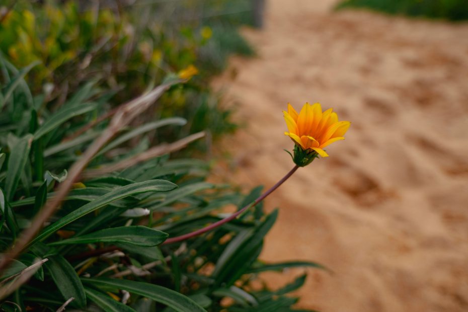 Quiet Intimacy With Him