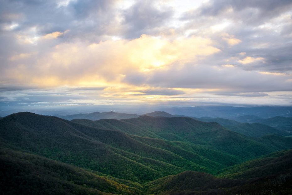 Go Out and Weep Bitterly