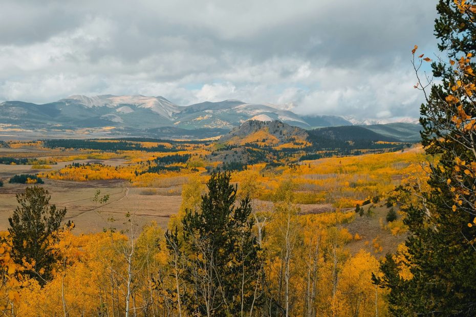 Just Their Own Efforts