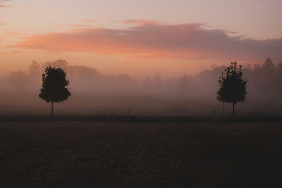 Jesus Christ is King on The Throne