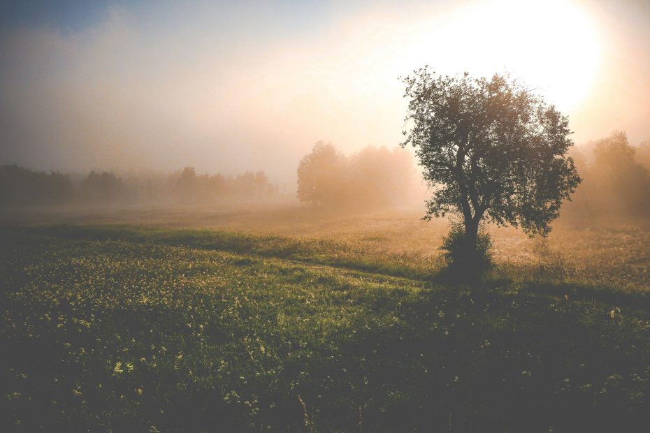 Ask and Keep On Asking