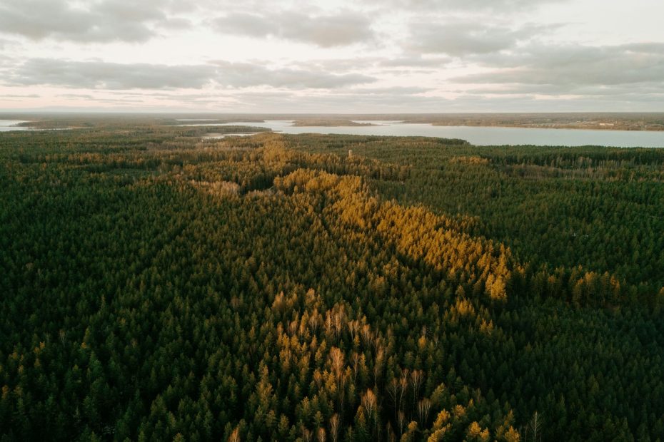 Who is Believing in Him