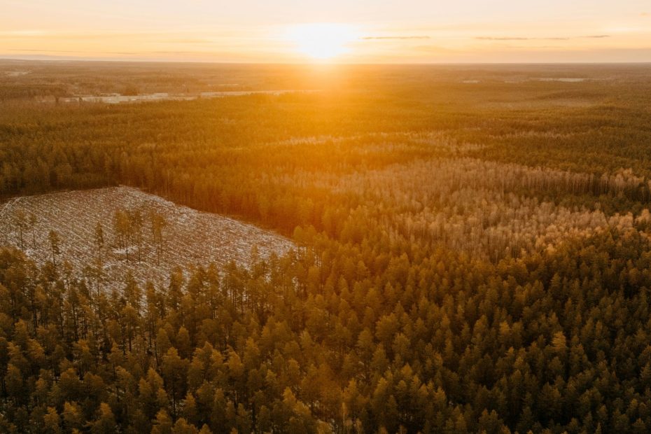 Take Up His Cross and Follow Me