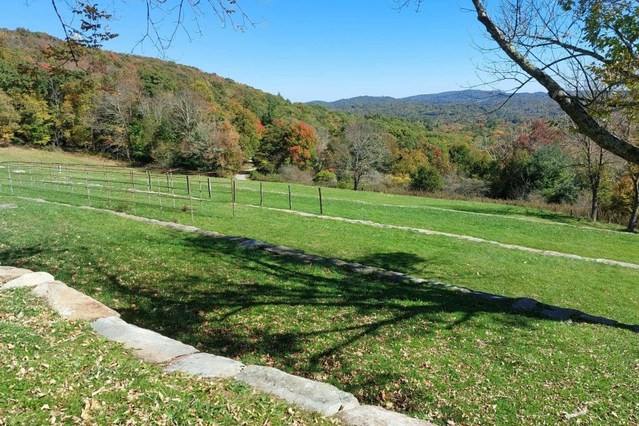 gone outside, wept bitterly