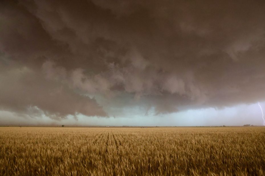 For The Sake of The Lord