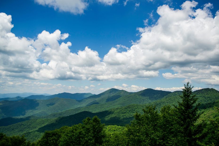 Effecting the Will of God