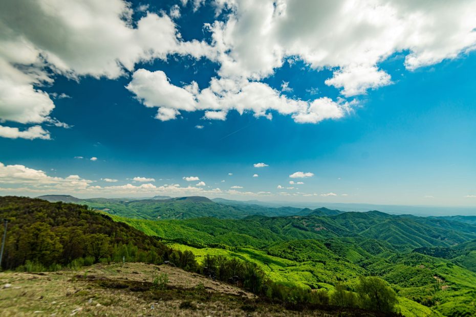 To The Father's Charge