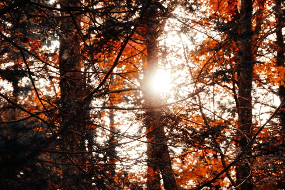 Night and Day I Keep It!