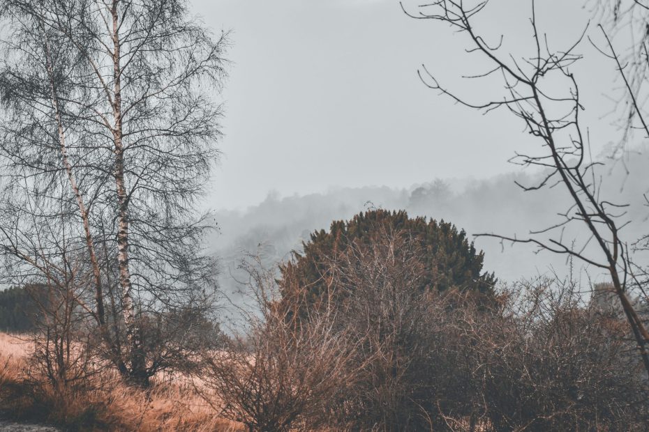 Self-Sacrificing Love For Others