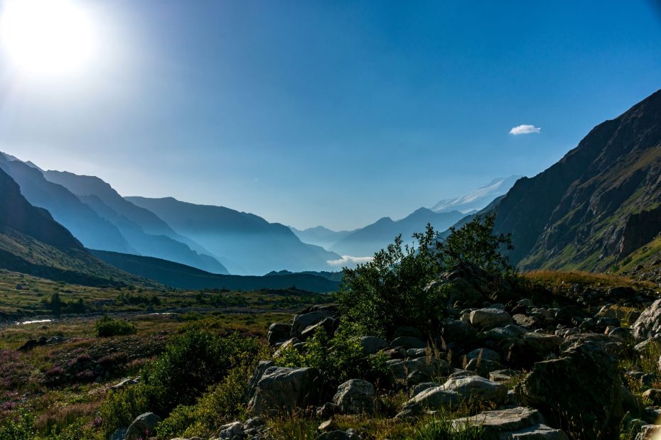 Word of God Search Us