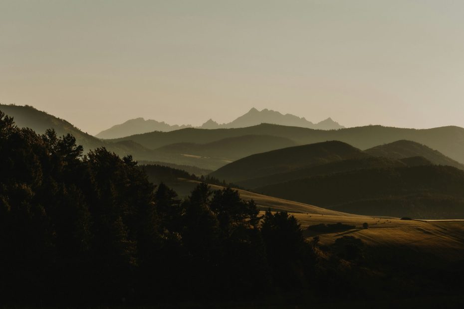 Surrender Yourself Absolutely