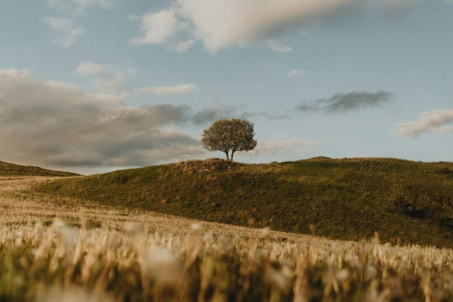 Faithfully Followed Him