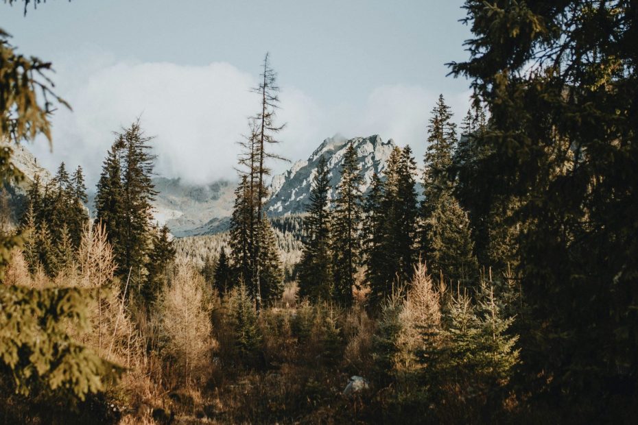 Closest Communion With God