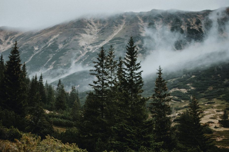 At The Same Time Occupied With Christ