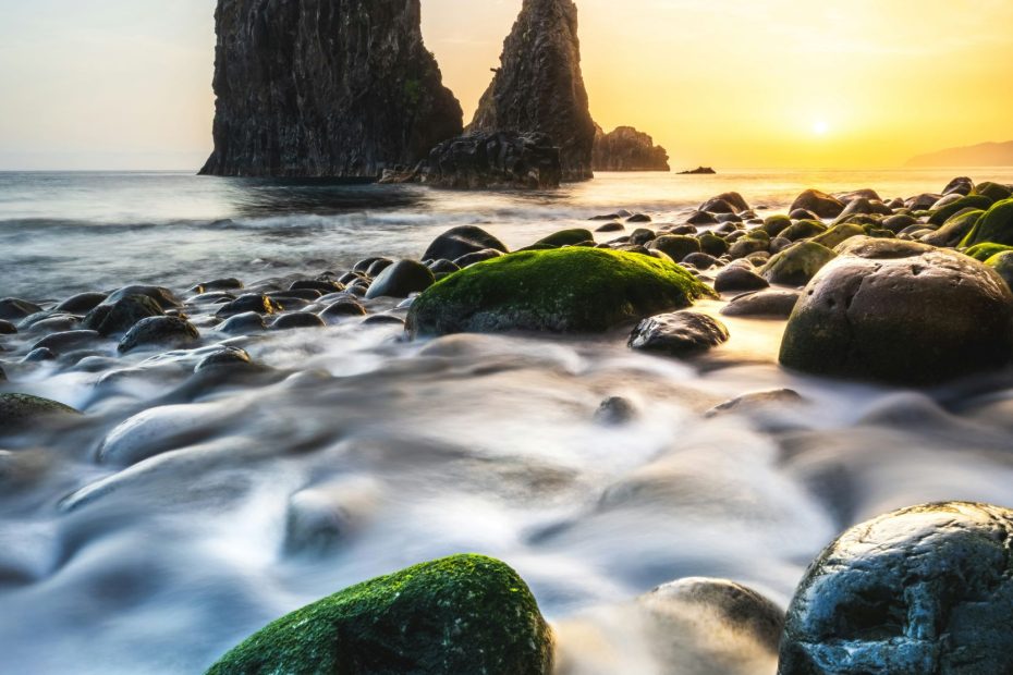 Not Love Our Souls Today