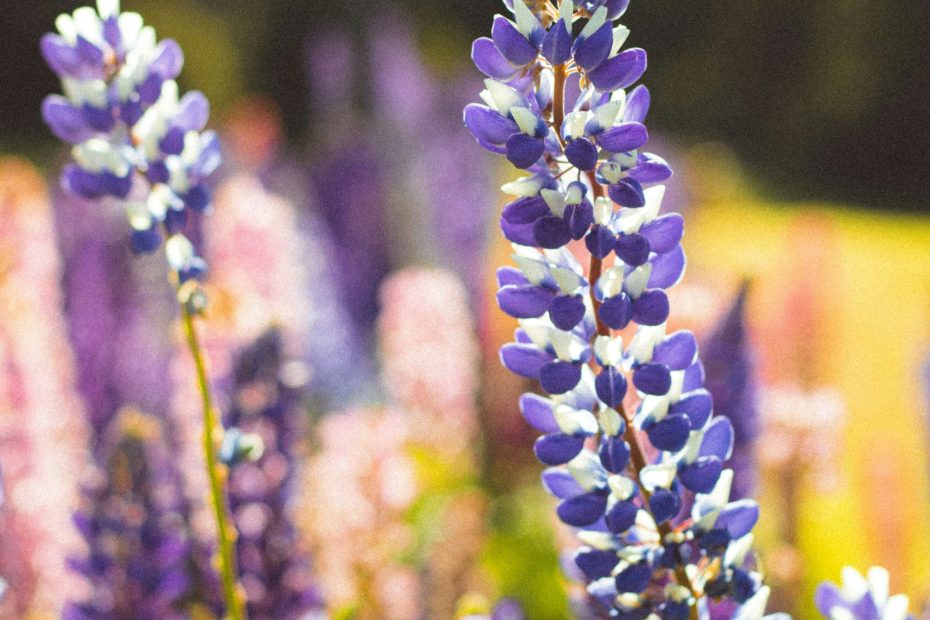 It is God Who is Working