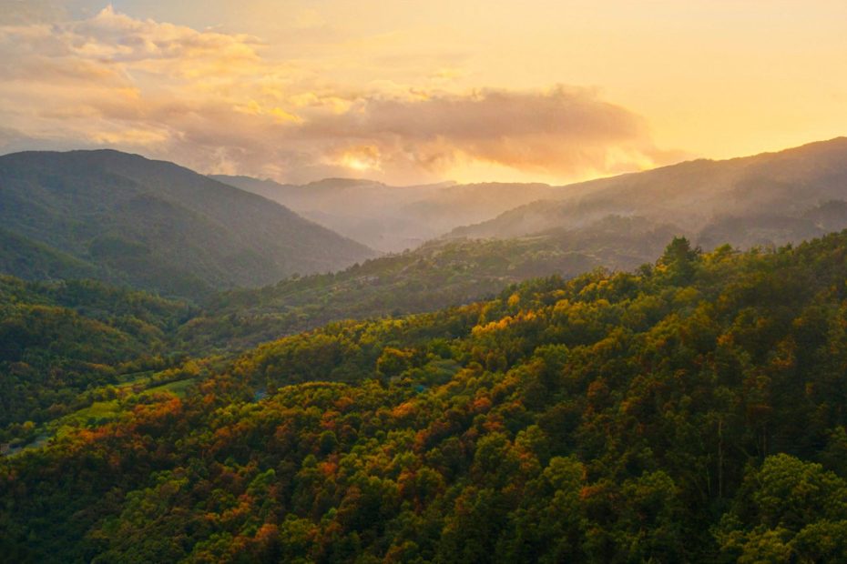 The Way A Thing Is Done