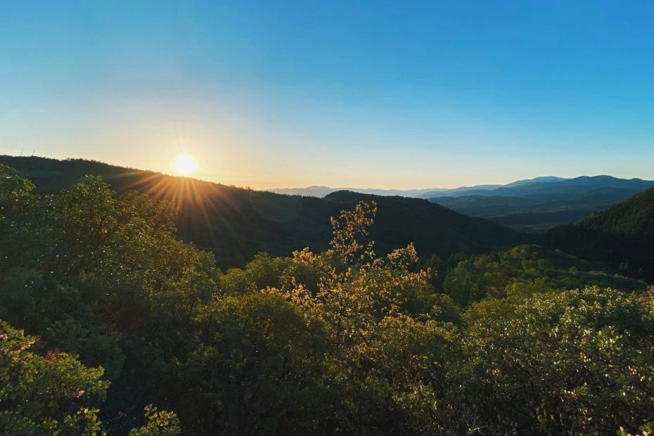 Yield Yourself in Faith