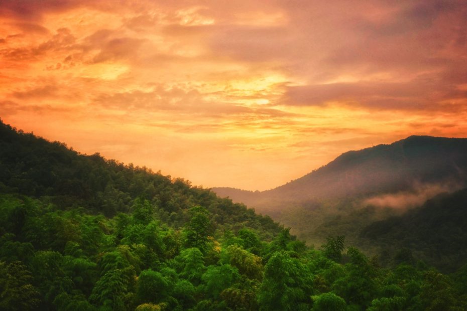 Set Upon The Promise