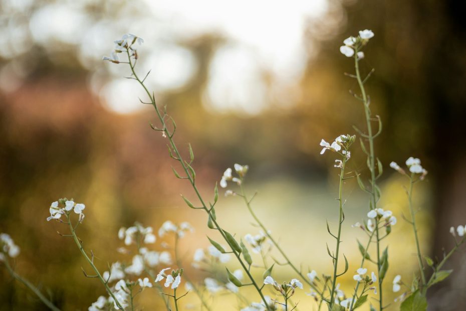 The Matter of a Day in Its Day