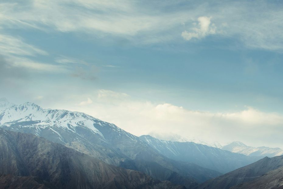 Willing To Serve You