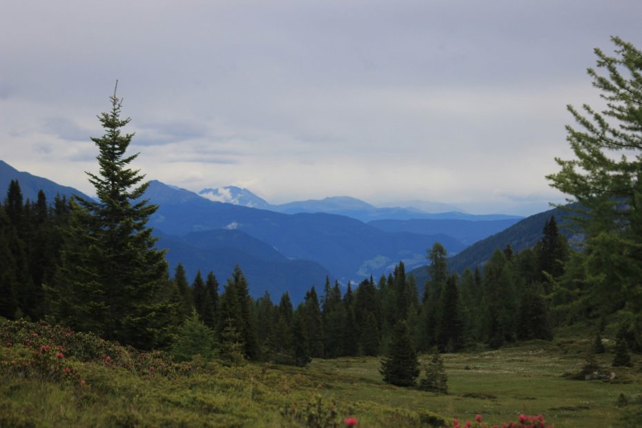 Jesus Christ is the Son of God