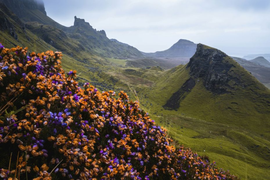 Putting Us In Christ