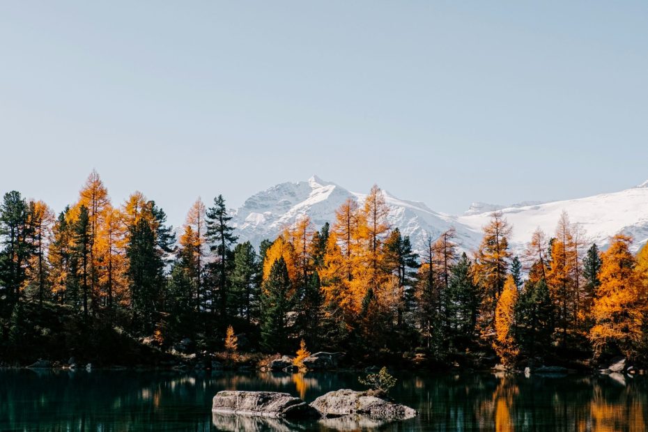 Human Wisdom Has No Part