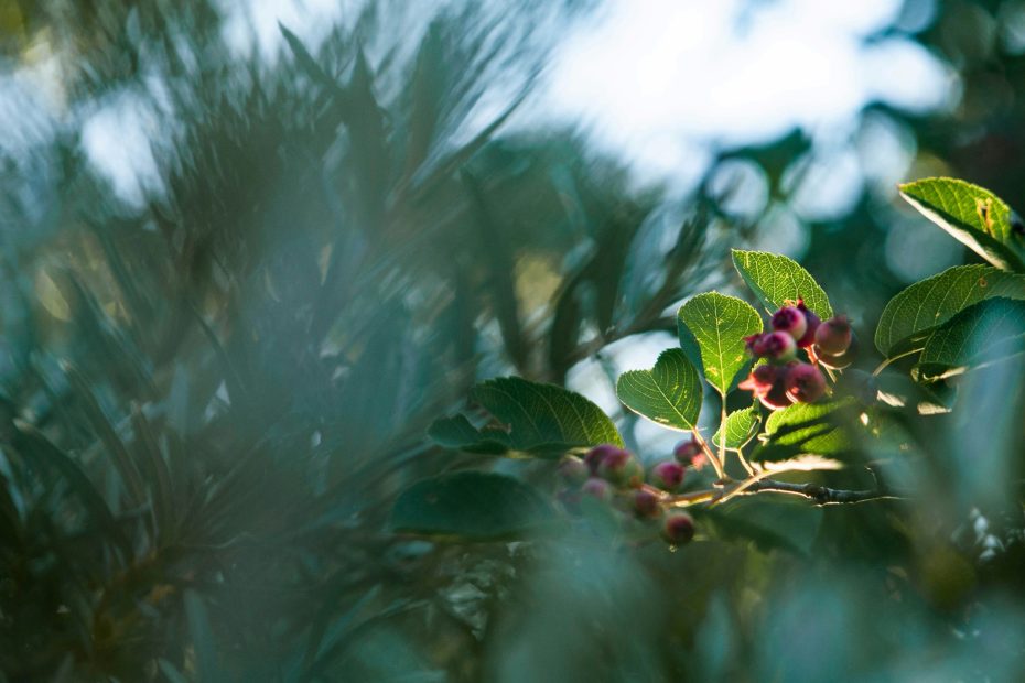 To See What God Sees