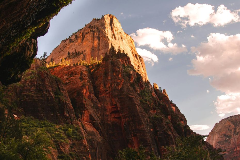 Patience Faith Waiting Hastening