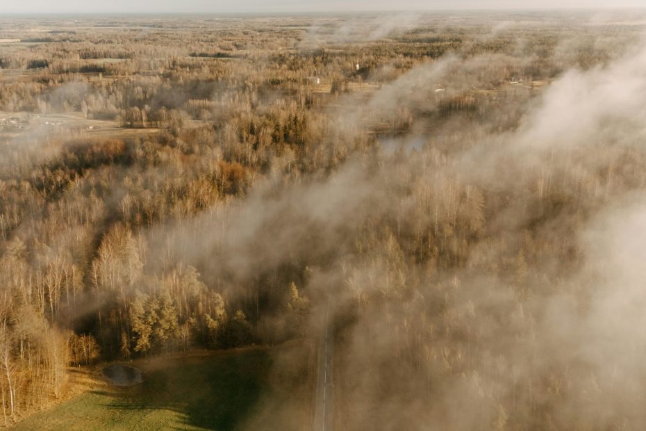 Possession of The Blessing in Him