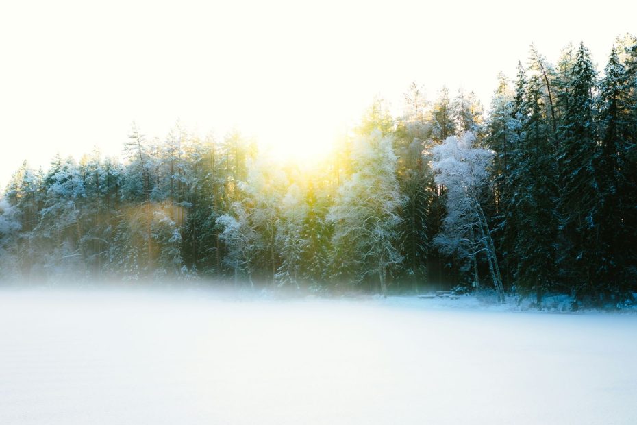 Actually Borne Our Diseases