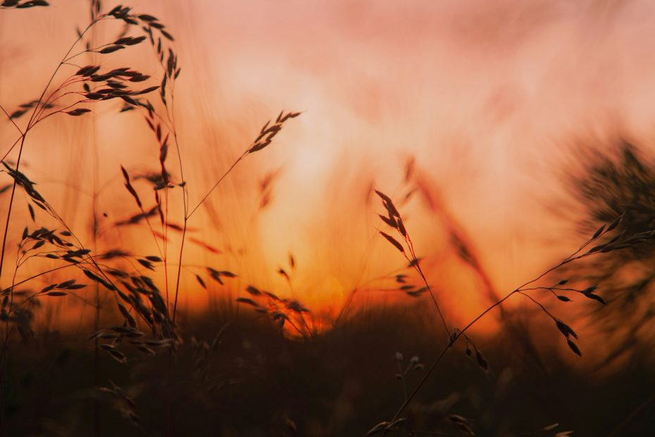 Reconcile All Things To God